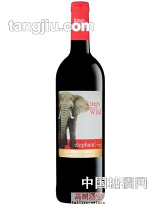 非洲色拉子干红葡萄酒