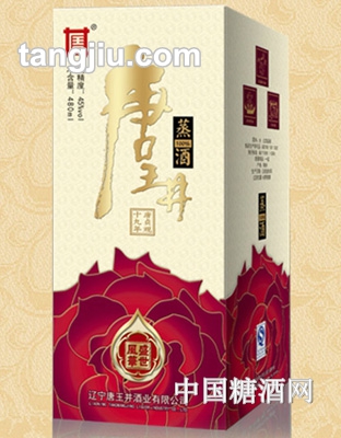 唐王井蒸酒-风华盛世480ml