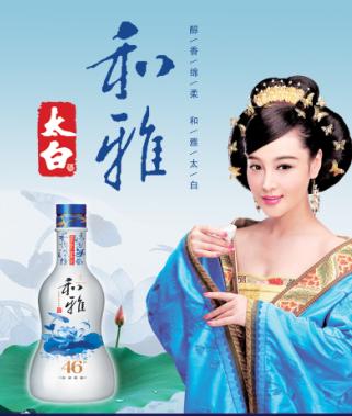 6年9年15年和雅太白酒招商营销
