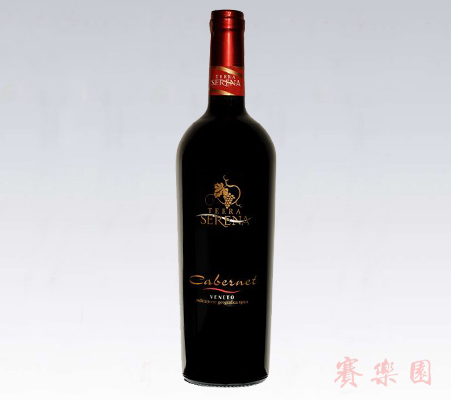 意大利葡萄酒CABERNET卡本内干红