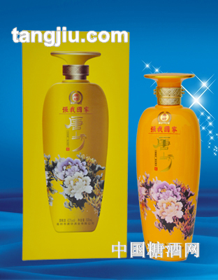 唐坊强我国家