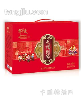 礼盒礼箱系列 天福到家1.7kg