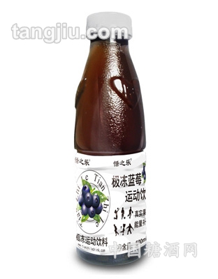 极冻蓝莓运动饮料500ml