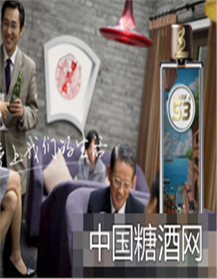 五十三度酒商务系列