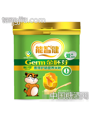 爱+550g麦芽护肠营养米粉