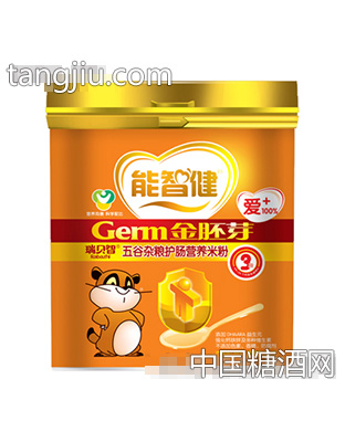 爱+550g五谷杂粮护肠营养米粉
