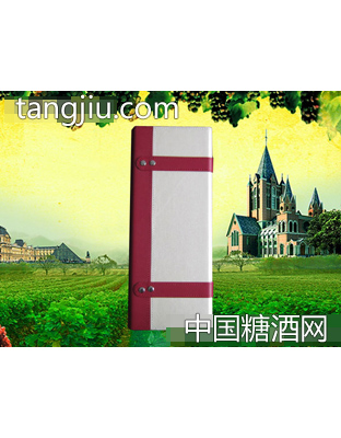 优雅单支皮质包装