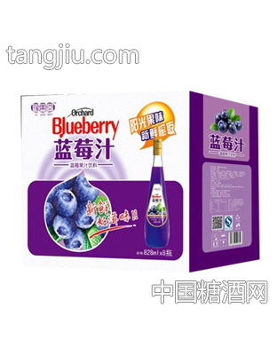 豫善堂蓝莓汁828mlx8瓶