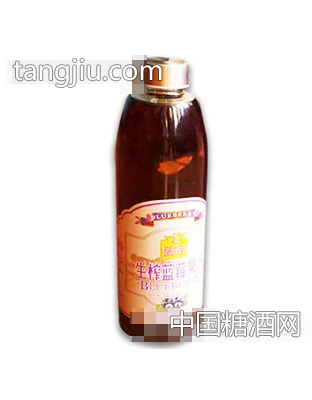 瑞木堂生榨蓝莓果汁1L