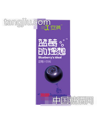 安满蓝莓汁饮料250ml