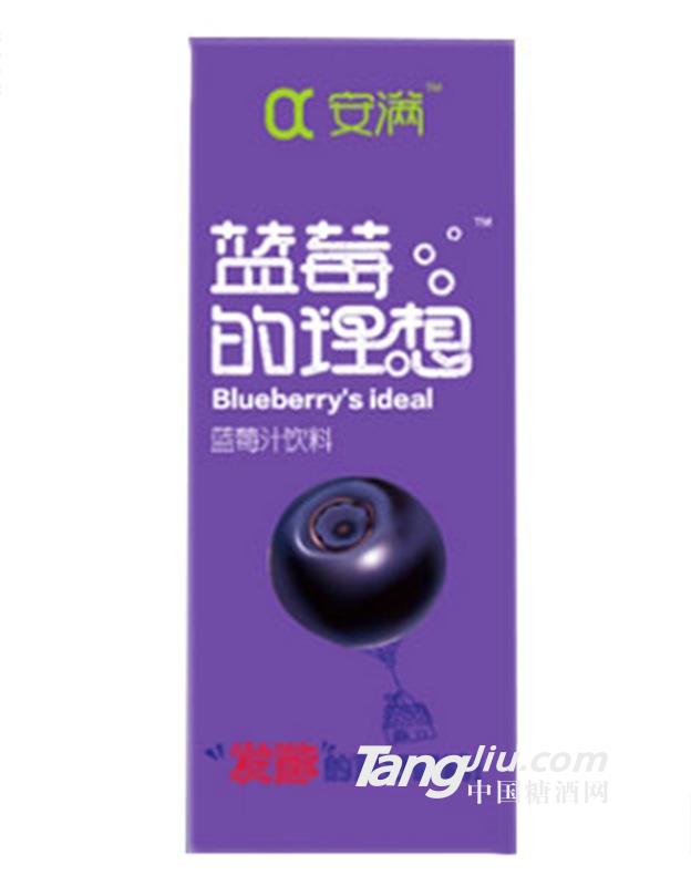 安满蓝莓汁饮料250ml