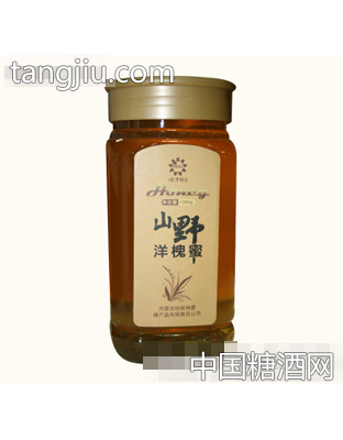 哈尼神蕾山野洋槐蜜1000g