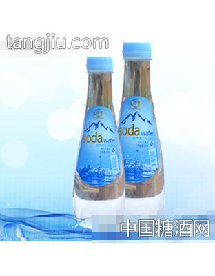 无气苏打水双瓶