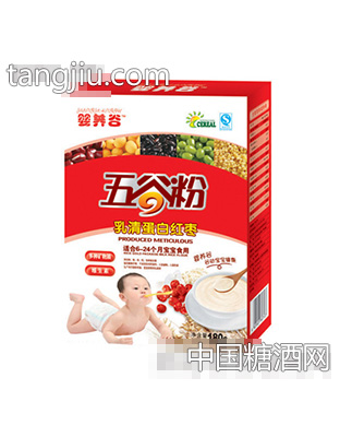 180克乳清蛋白红枣五谷粉