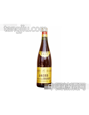 金樽