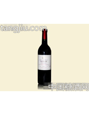 法国法尔蒙干红葡萄酒