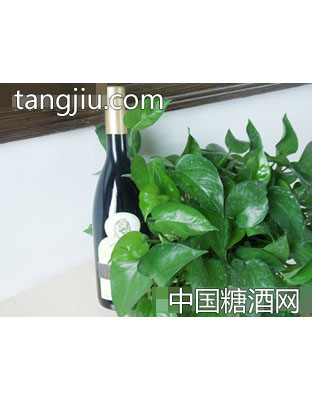 奕龙达干红葡萄酒