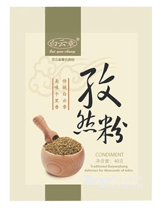 白云章孜然粉40g