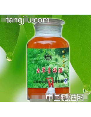 维金 罐装虫草青梅酒