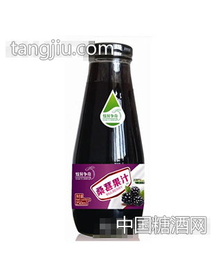 炫异争奇桑葚果汁