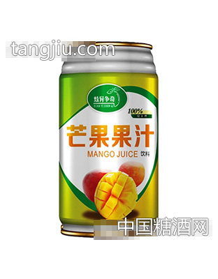 炫异争奇芒果果汁（罐）