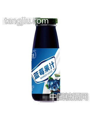 炫异争奇蓝莓果汁（瓶）