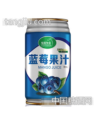炫异争奇蓝莓果汁（罐）