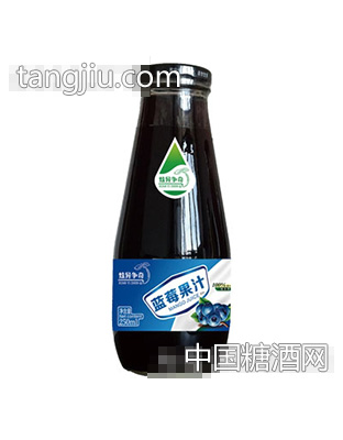 炫异争奇蓝莓果汁250ml