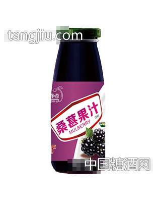炫异争奇桑葚果汁（瓶）