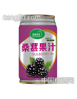炫异争奇桑葚果汁（罐）