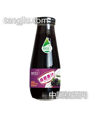 炫异争奇桑葚果汁250ml