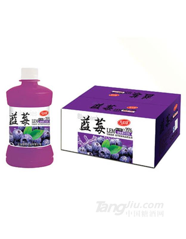 蓝莓果汁饮料（380ml×15瓶）
