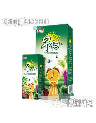 汇源99%复合果蔬汁