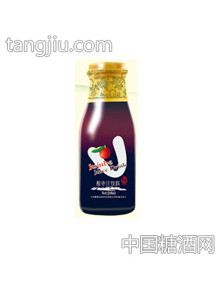 248ML酸枣汁饮料
