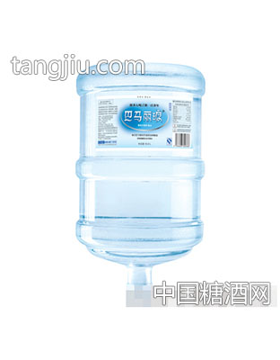5加仑巴马丽琅精品装产品
