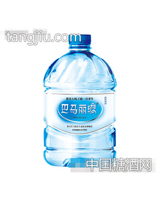 4.6L巴马丽琅精品装产品
