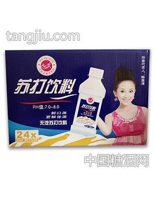 口口珍无汽苏打水350mlx24瓶