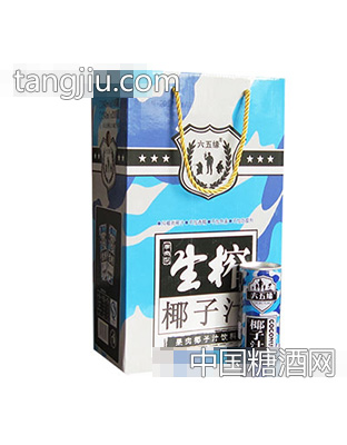 生榨椰子汁果肉型礼盒