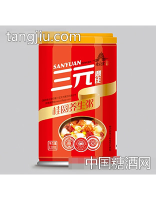 三元鼎佳桂圆养生粥320g