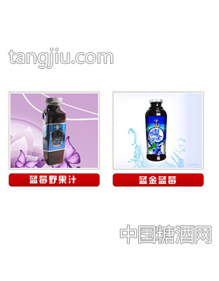 蓝金蓝莓