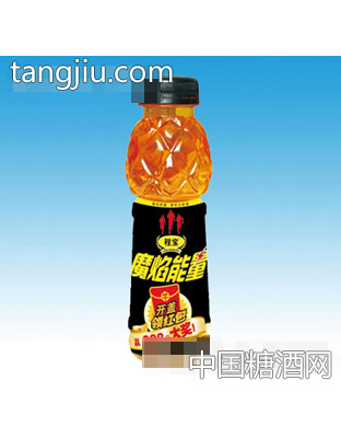 程宝维生素饮料300ML
