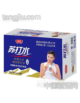 程宝苏打水350mlX24瓶