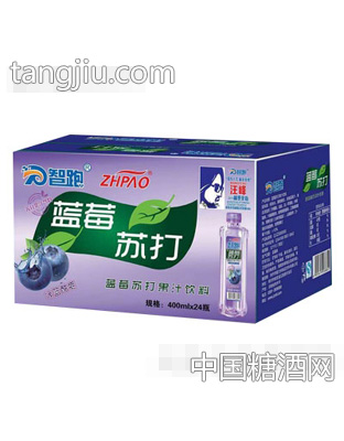 智跑蓝莓苏打水400mlX24瓶