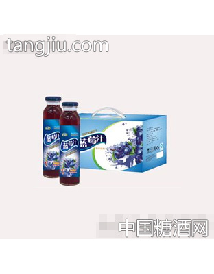旭培蓝莓玻璃瓶