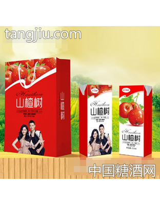 长白山泉山楂树果汁果肉饮料手提袋利乐包