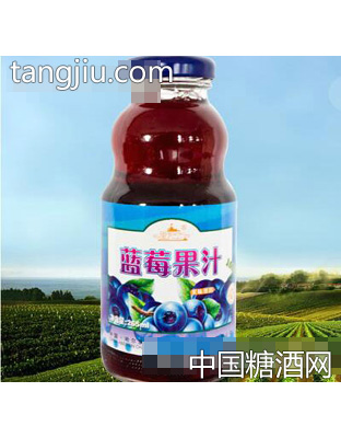 野恋蓝莓果汁265ml