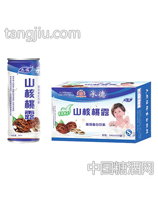 九福山核桃露植物蛋白饮料240mlx20