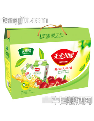 天隆泉酸枣汁500mlX6盒装礼盒