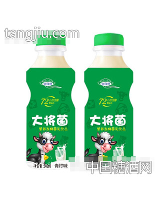 大将菌营养发酵菌乳饮品青柠味340ml