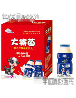 大将菌营养发酵菌乳饮品